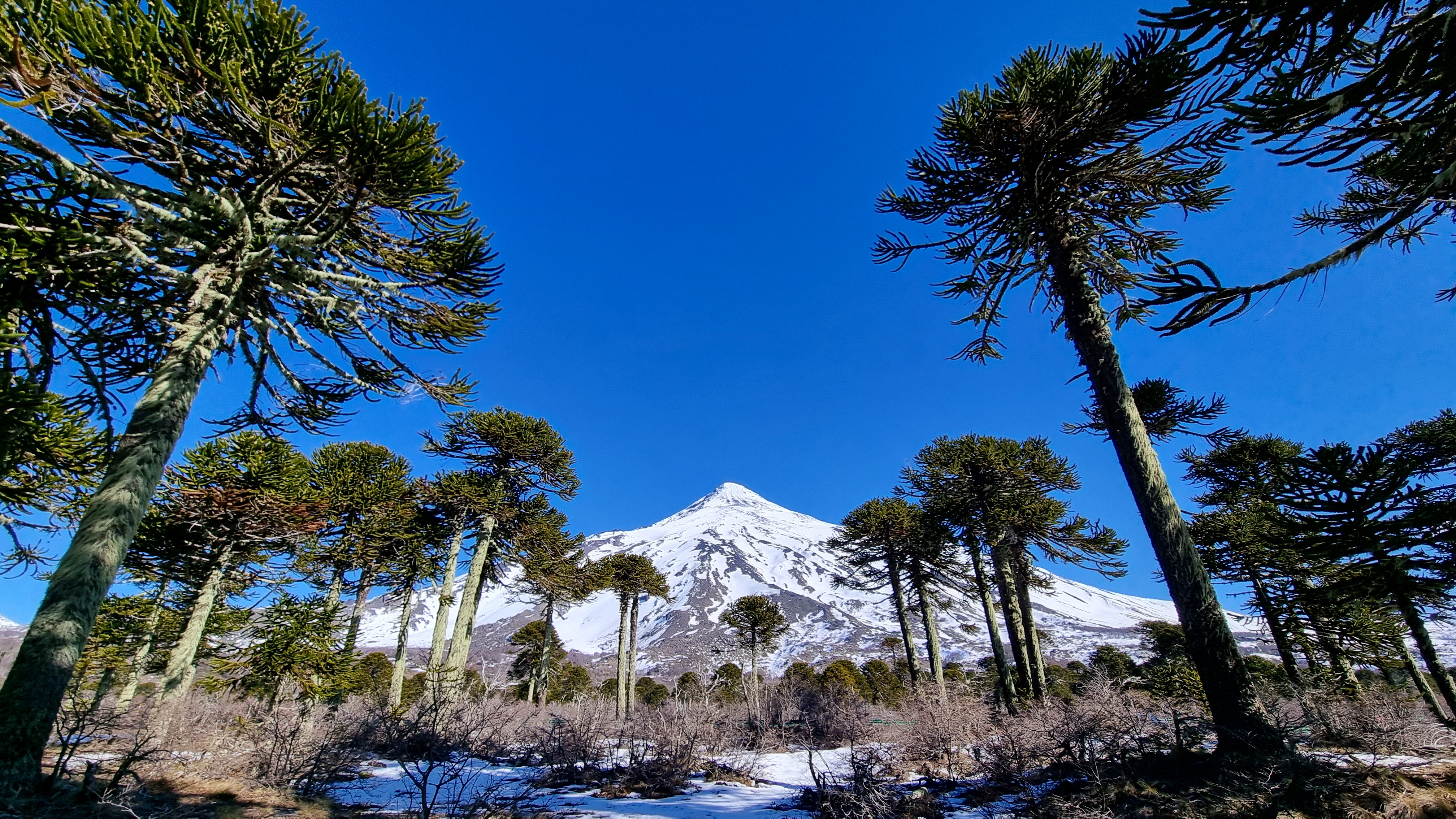Paisaje del lago y volcán de Pucón al atardecer